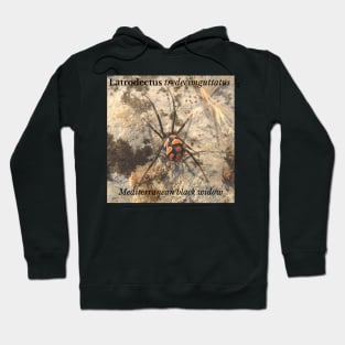 Latrodectus tredecimguttatus -  Mediterranean black widow Hoodie